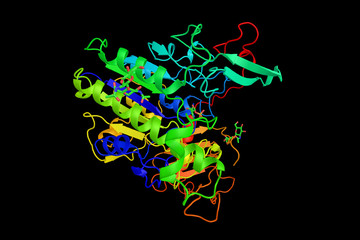 Galsufase (3d structure), used as a pharmaceutical drug. Associa © ibreakstock