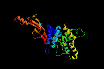 Glial cell-derived neurotrophic factor (GDNF), a protein. The mo