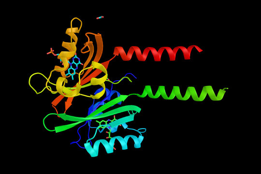Typical core-domain of a FMN-binding fluorescent protein, a clas
