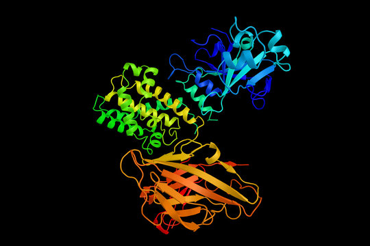Heparin-binding EGF-like growth factor, a protein which has been