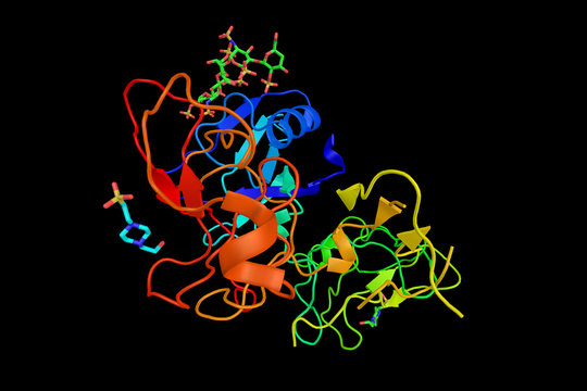 Hepatocyte Growth Factor Regulates Cell Growth, Cell Motility, A