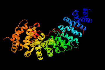 Obraz na płótnie Canvas Importin subunit alpha-4, a protein found to interact with the N