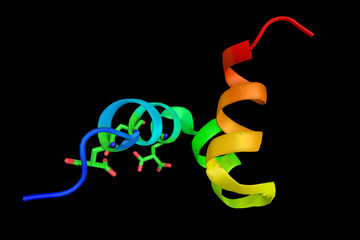 Osteocalcin, secreted solely by osteoblasts and thought to play