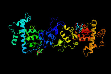 Osteonectin, an acidic extracellular matrix glycoprotein that pl