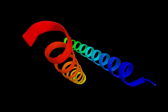 Parathyroid hormone (3d structure), vital to health, is a hormon