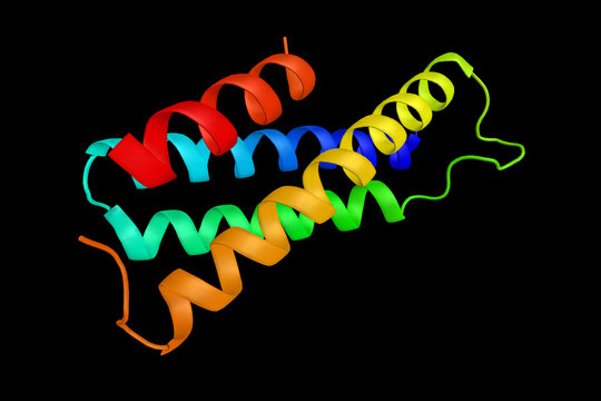 SPG20, a protein that contains a MIT (Microtubule Interacting an