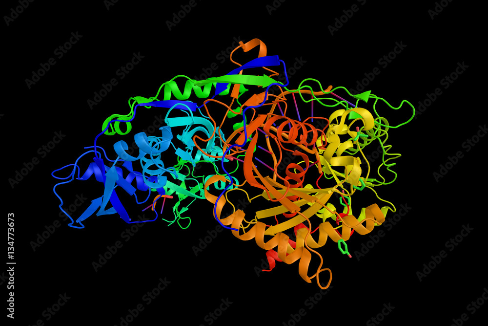 Poster argonaute-2 (3d model), a part of the argonaute protein family,