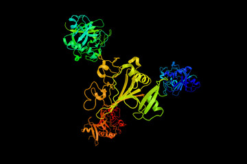 Angiopoietin-2 (3d structure), a protein that in humans is encod