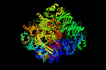 Ara h1 is a seed storage protein from Arachis hypogaea (peanuts) © ibreakstock