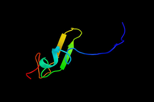 Amphiregulin, An Autocrine Growth Factor As Well As A Mitogen Fo