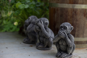 Fototapeta premium The three wise monkey, three mystic apes(see no evil, hear no ev