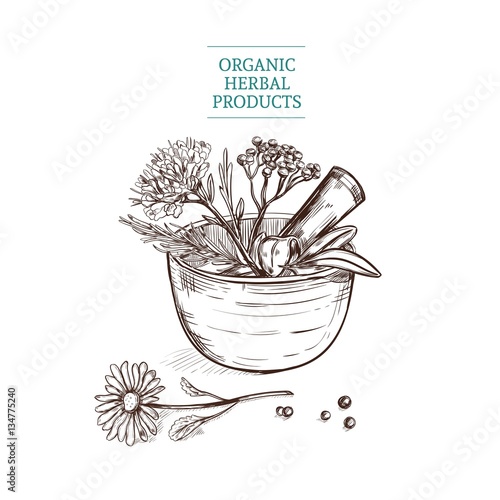  Hand Drawn Decorative Flower Basket Stock image and 