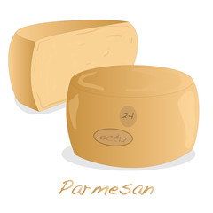 parmesan cheese image isolated artwork
