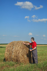 Naklejka na ściany i meble Farmer examine bale of hay in field