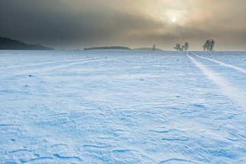 Winter snowy fields and foggy day