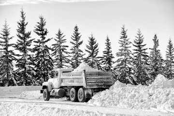 A gravel truck backed and ready to dump load of snow from the box behind a row of spruce trees in a black and white winter landscape