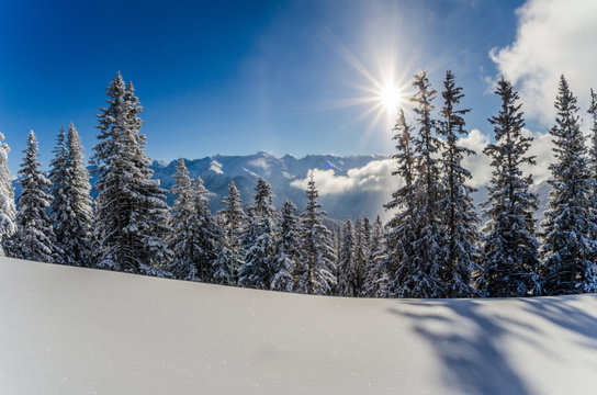 Wenig Schnee
Kunstschnee