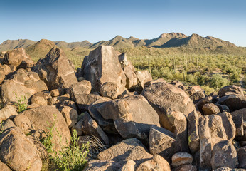 petroglyphs at Saguaro National Park, Tucson, AZ © Laurens