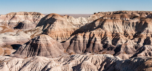 Petrified Forest National Park, Blue Mesa, Arizona