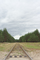 The old railway line in the forest. Russia