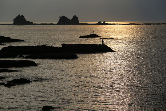 荒船海岸の釣果 釣り場情報 2021年最新 アングラーズ 釣果250万件の魚釣り情報サイト