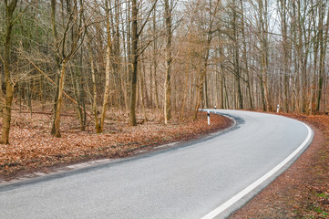 Straße im Wald, Frühlingssonne, Regionalverkehr, Wildwechselgefahr, Waldgebiete, ländlich