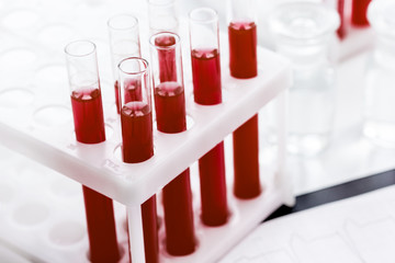 glass tubes with blood sample in stand no one
