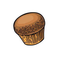 Cupcake. Vector color hand drawn vintage engraving