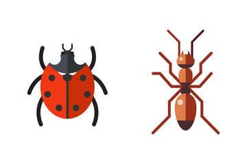 Insect ladybug and ant icon flat set isolated on white background