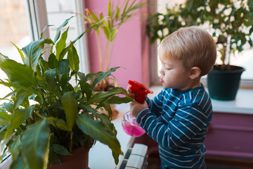 Child watering flowers with red watering can in the room