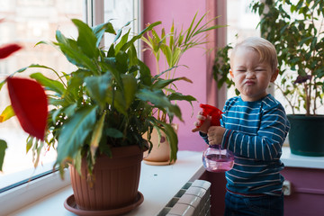 Child watering flowers with red watering can in the room