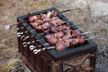 Fresh marinated meat with onion on the grill