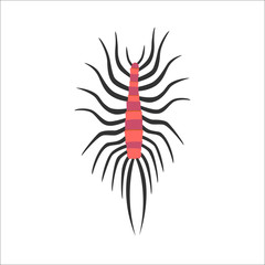 Cute Centipede animal cartoon character vector.
