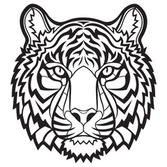 Tiger head isolated