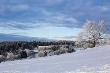 Vogelsberg im Winter 