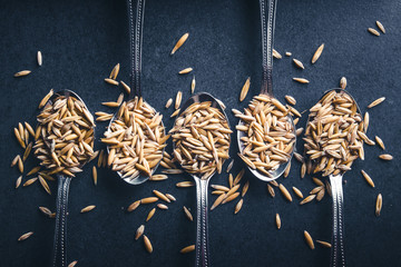 Oat grain on five metal spoons background.