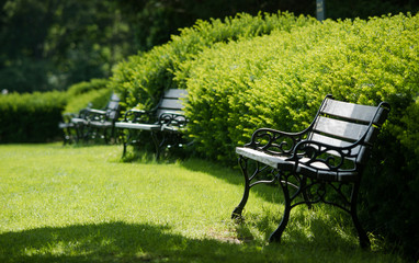 Abandoned Bench