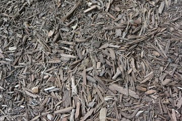Mulch_01