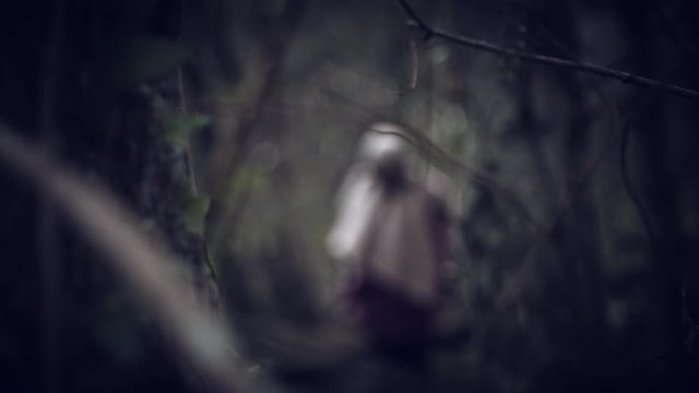 4K Horror Scarecrow with Sackcloth Mask in Forest