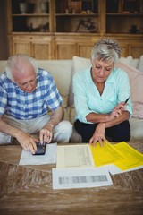 Worried senior couple checking bills in living room