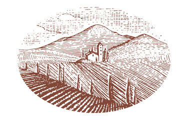 Obraz premium Vintage engraved, hand drawn vineyards landscape, tuskany fields, old looking scratchboard or tatooo style