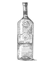 Fototapeta na wymiar Wine bottle hand drawn engraved old looking vintage illustration