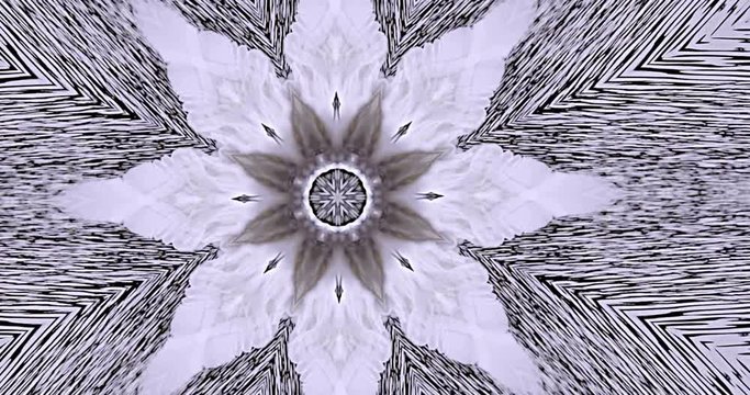 Tribal pattern background with real feathers and dream like feel.
