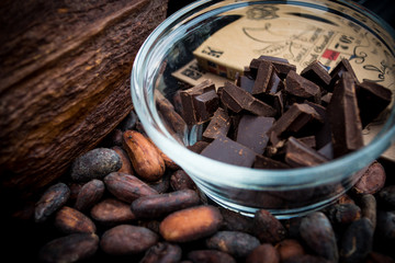 Unprocessed Cacao Beans with Finished Chocolate