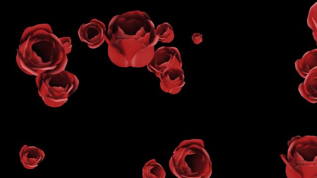 Animation of red roses with alpha channel