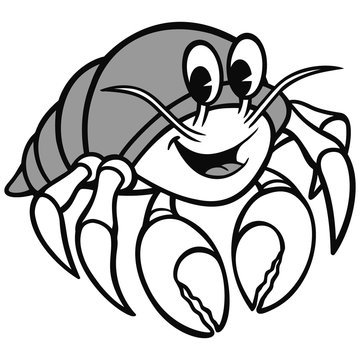 Hermit Crab Illustration