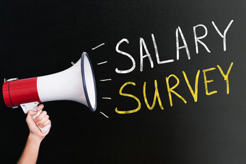 Salary Survey Concept On Blackboard