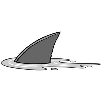 Shark Fin Illustration