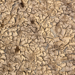 dry soil and Sand
