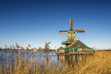 Calm scene with traditional dutch windmills near canal